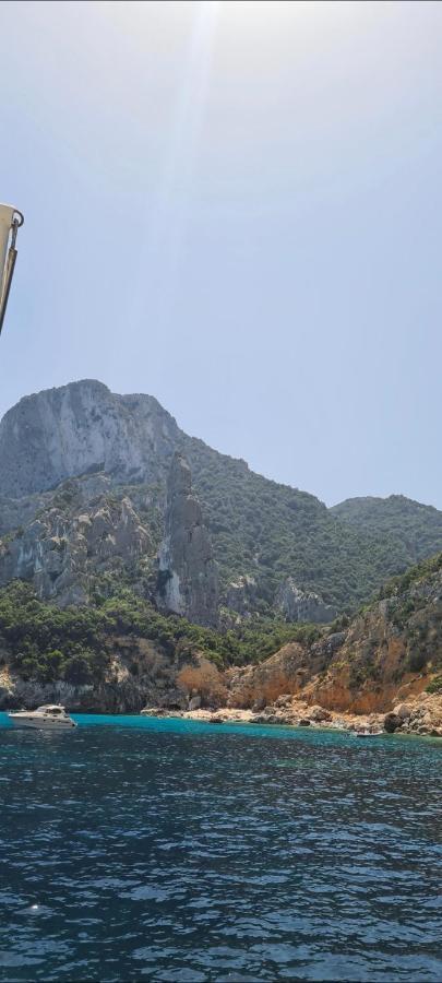 شقة Kolbe'S House سينيسكولا المظهر الخارجي الصورة